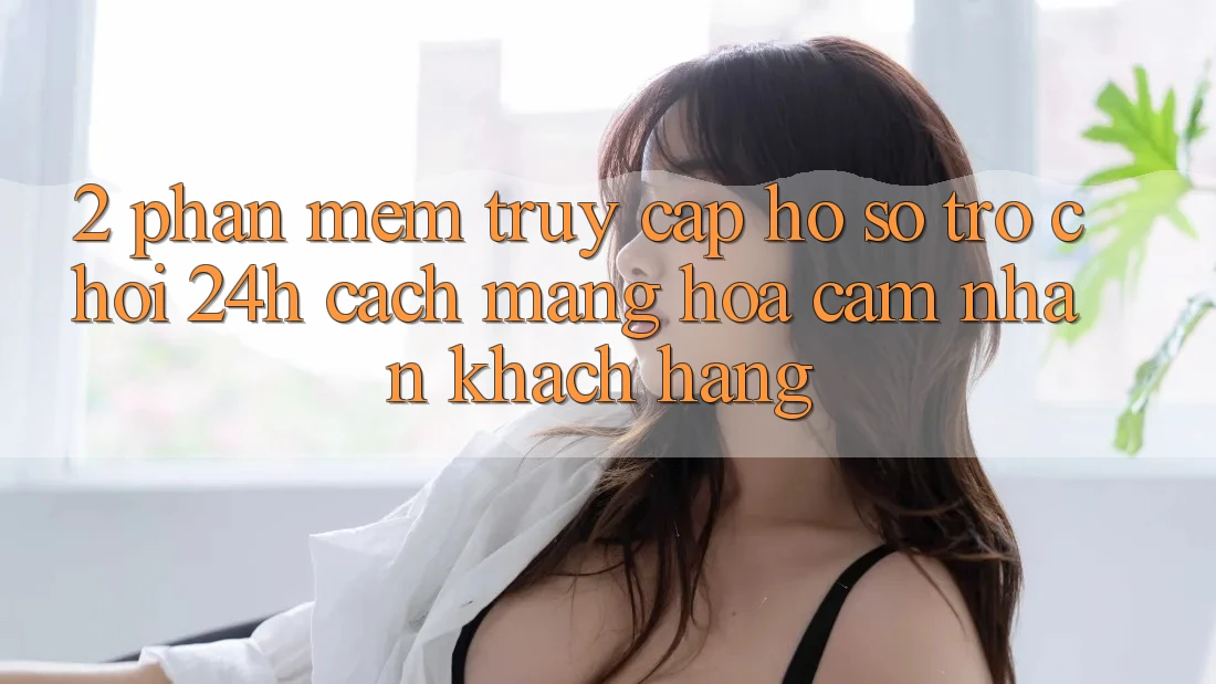 2. Phần mềm Truy cập hồ sơ Trò chơi 24h: Cách Mạng Hóa Cảm nhận Khách hàng