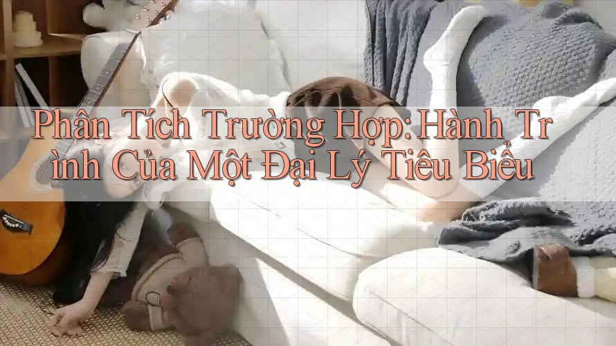Phân Tích Trường Hợp: Hành Trình Của Một Đại Lý Tiêu Biểu