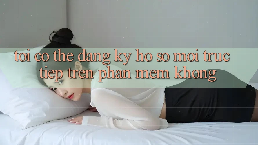 Tôi có thể đăng ký hồ sơ mới trực tiếp trên phần mềm không?