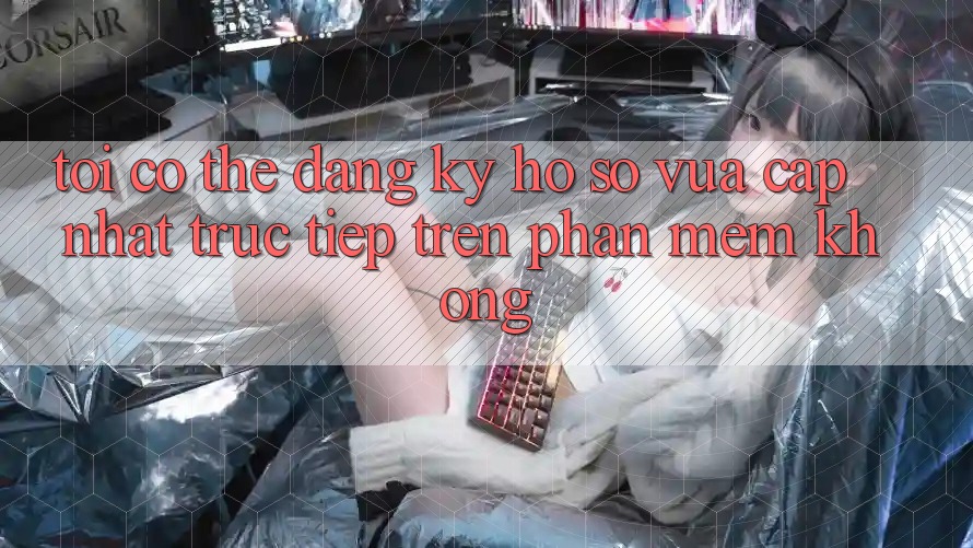 Tôi có thể đăng ký hồ sơ vừa cập nhật trực tiếp trên phần mềm không?